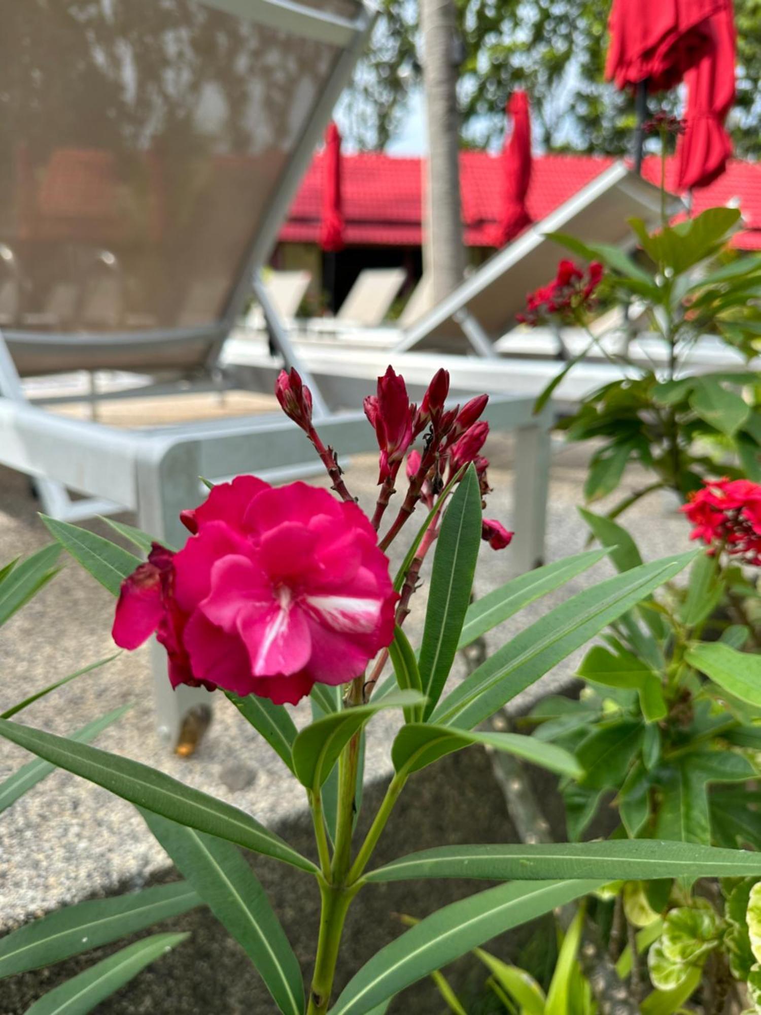 Noble House Beach Resort Koh Lanta Bagian luar foto